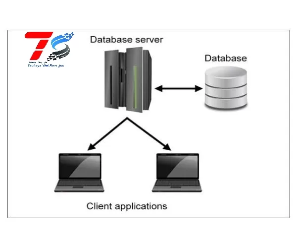 Cấu hình server database